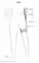 Fig. 02 - Supporting modules and motion assistance apparatuses including the same