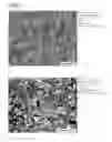 Fig. 06 - ALUMINUM ALLOY COMPOSITE AND METHOD FOR JOINING THEREOF