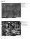 Fig. 07 - ALUMINUM ALLOY COMPOSITE AND METHOD FOR JOINING THEREOF