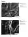Fig. 08 - ALUMINUM ALLOY COMPOSITE AND METHOD FOR JOINING THEREOF