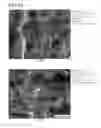 Fig. 09 - ALUMINUM ALLOY COMPOSITE AND METHOD FOR JOINING THEREOF