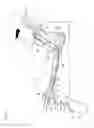 Fig. 04 - Vehicle seat