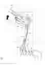Fig. 04 - Vehicle seat