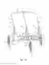Fig. 15 - Folding baby stroller