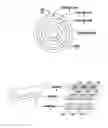 Fig. 01 - Systems and methods for shielding a hand sensor system in a steering wheel