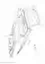 Fig. 06 - Propeller protection shield for a boat and method of use thereof