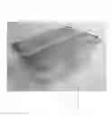 Fig. 02 - CONTAINER WITH BUTTERFLY LID CLOSURE
