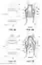 Fig. 08 - Closure arrangements for liquid containers, liquid container assembly, and the like