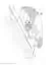 Fig. 02 - Linear motion conveyor