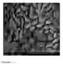 Fig. 04 - Simple production method for graphene by microorganisms