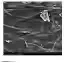 Fig. 07 - Simple production method for graphene by microorganisms