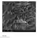 Fig. 08 - Simple production method for graphene by microorganisms