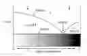 Fig. 02 - METHOD OF PURIFYING SILICON