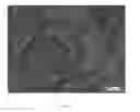 Fig. 09 - Compositions and methods for preparing copper-containing paper and uses thereof