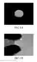 Fig. 02 - Whitening composition for selectively treating the surface of dental ceramic and related methods