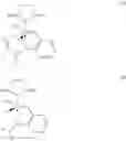 Fig. 06 - PROCESS FOR THE SYNTHESIS OF OMEGA-UNSATURATED NITRILE-ACID/ESTER IN WHICH TWO TYPES OF CROSS METATHESIS ARE ALTERNATED CONSECUTIVELY, SWING PROCESS