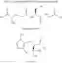 Fig. 07 - Synthetic antioxidants and their uses