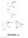 Fig. 03 - Synthetic process for aminocyclohexyl ether compounds