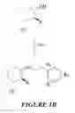 Fig. 04 - Synthetic process for aminocyclohexyl ether compounds