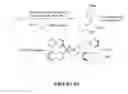 Fig. 43 - Synthetic process for aminocyclohexyl ether compounds