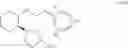 Fig. 93 - Synthetic process for aminocyclohexyl ether compounds