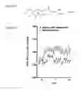 Fig. 06 - Epoxyeicosatrienoic acid analogs and methods of making and using the same