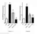 Fig. 22 - Epoxyeicosatrienoic acid analogs and methods of making and using the same