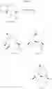 Fig. 06 - Sesquiterpene lactone-based pharmaceutical composition for treating gastrointestinal diseases