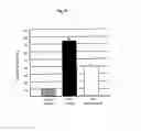 Fig. 06 - Multifunctional nitroxide derivatives and uses thereof