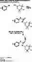 Fig. 64 - Multifunctional nitroxide derivatives and uses thereof