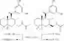 Fig. 136 - SHIP1 MODULATORS AND METHODS RELATED THERETO