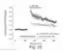 Fig. 06 - NMDA receptor modulators and uses thereof