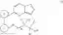 Fig. 43 - Macrocyclic compounds as trk kinase inhibitors