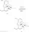 Fig. 07 - Process for the preparation of morphine analogs via metal catalyzed N-demethylation/functionalization and intramolecular group transfer