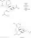 Fig. 24 - Process for the preparation of morphine analogs via metal catalyzed N-demethylation/functionalization and intramolecular group transfer