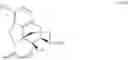 Fig. 34 - Process for the preparation of morphine analogs via metal catalyzed N-demethylation/functionalization and intramolecular group transfer