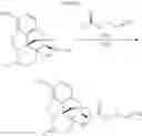 Fig. 108 - Transition metal-catalyzed processes for the preparation of N-allyl compounds and use thereof