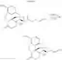 Fig. 111 - Transition metal-catalyzed processes for the preparation of N-allyl compounds and use thereof