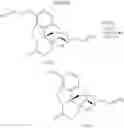 Fig. 112 - Transition metal-catalyzed processes for the preparation of N-allyl compounds and use thereof