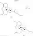 Fig. 113 - Transition metal-catalyzed processes for the preparation of N-allyl compounds and use thereof