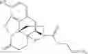 Fig. 116 - Transition metal-catalyzed processes for the preparation of N-allyl compounds and use thereof