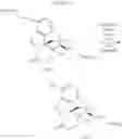Fig. 120 - Transition metal-catalyzed processes for the preparation of N-allyl compounds and use thereof