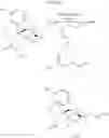 Fig. 126 - Transition metal-catalyzed processes for the preparation of N-allyl compounds and use thereof