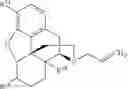Fig. 209 - Transition metal-catalyzed processes for the preparation of N-allyl compounds and use thereof