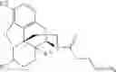 Fig. 210 - Transition metal-catalyzed processes for the preparation of N-allyl compounds and use thereof