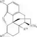 Fig. 214 - Transition metal-catalyzed processes for the preparation of N-allyl compounds and use thereof
