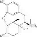 Fig. 217 - Transition metal-catalyzed processes for the preparation of N-allyl compounds and use thereof