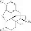 Fig. 222 - Transition metal-catalyzed processes for the preparation of N-allyl compounds and use thereof