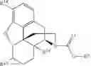 Fig. 224 - Transition metal-catalyzed processes for the preparation of N-allyl compounds and use thereof