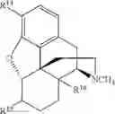 Fig. 229 - Transition metal-catalyzed processes for the preparation of N-allyl compounds and use thereof